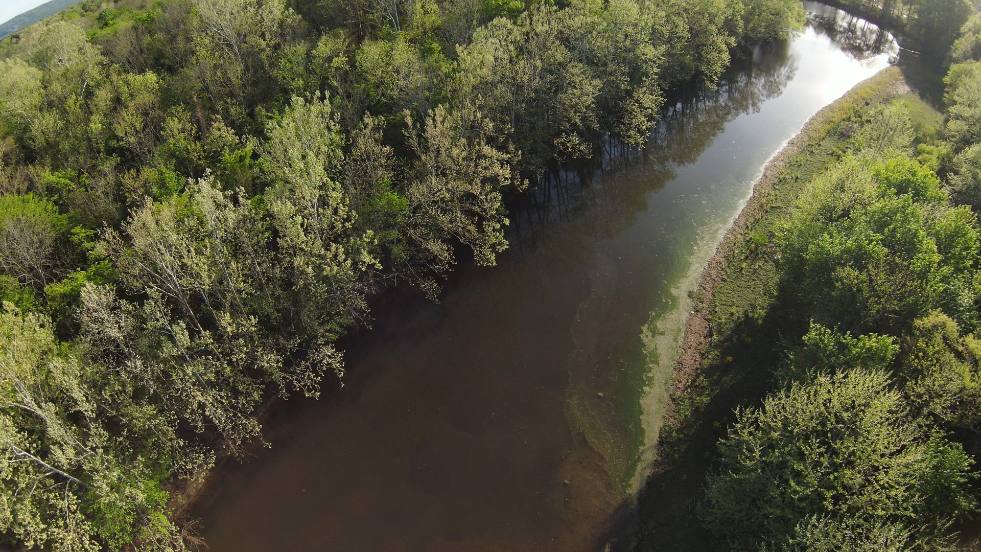 Aerial view of Aldridge Creek with a visible film along part of the water's surface